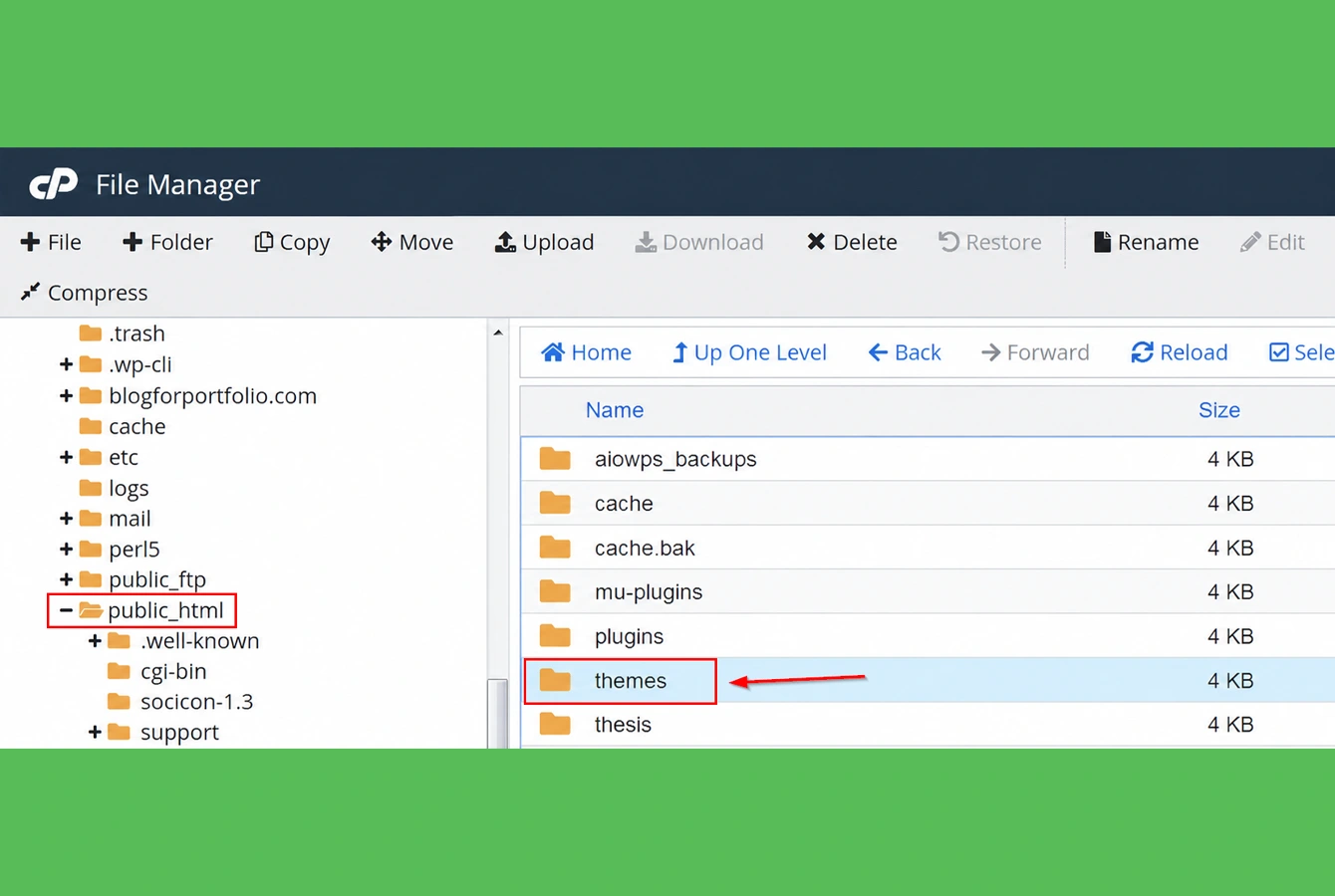 پوشه Themes در File Manager برای مدیریت فایلهای وردپرس